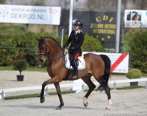 Italian Valentina Truppa on her number one Grand Prix horse Ranieri, a 14-year old Danish gelding by Romanov x Leandro. The passage got uneven at times and the piaffes are still timid, but the horse has a good extended walk. Pity that he sways so much in the tempi changes. 