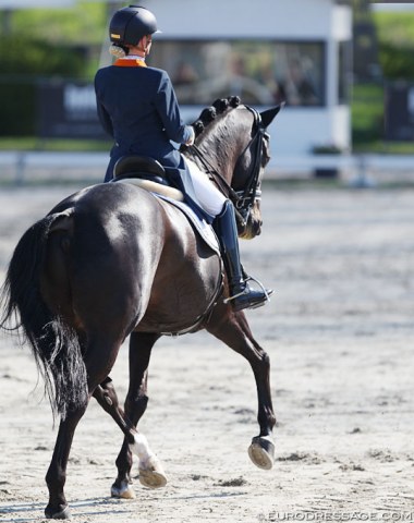 Dutch Maxime van der Vlist in her senior CDI Grand Prix debut on Bailey (by Negro). Their last international was the 2018 European Under 25 Championships in Exloo in August.