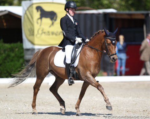 Finn Curran and Blokland's Hoeve's Amor (by Orchard Boginov)