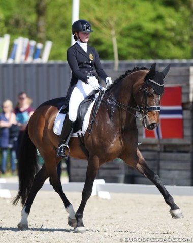 Emma Driesen on the Baden Wurttemberger bred Kalahari (by Köpenick x Argentinus)