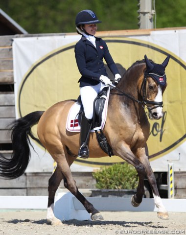 Mathilde Sofie Jepsen on Tackmann's Cookie (by Can Dance)