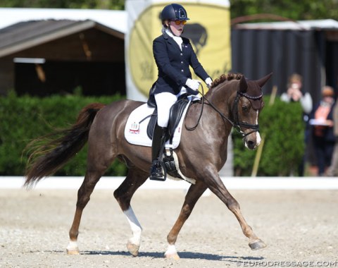 Lavinia Johnson on the schoolmaster Dublin (by De Vito II x Evenaar NPA), who was previously competed internationally Alexandra Hellings and Ottilie Bardsley