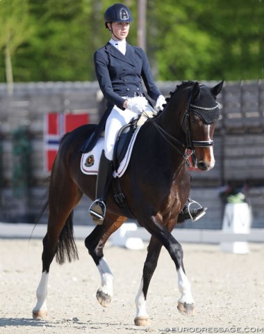 Zoe Laermans on Cenda de la Fazenda (by Don Schufro x Sandro Hit)