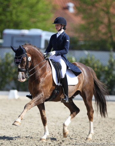 Aleksandra Maksokova has returned to the arena with the now 13-year old KWPN bred Bojengels (by Samba Hit II x Aktion). Originally named Bentley, this liver chestnut last appeared at a CDI in 2015 under "Sascha" at junior level.