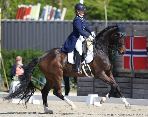 Jessica Poelman on her second horse Enouska (by Tuschinski x Havidoff)