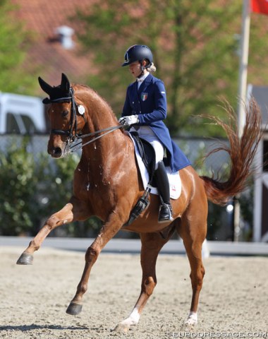 Italian Francesca Rapazzoli on the 13-year old Westfalian Rhadamanthus (by Real Diamond)