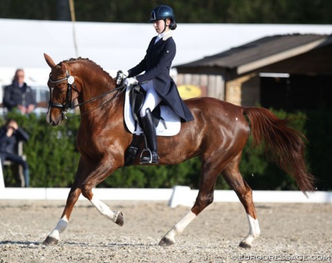 Italian Valentina Ugenti on the KWPN bred Britney (by Sydney x Cavalier)