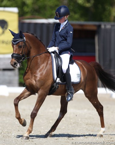 Julia Willemsen on Movie Star (by Hagelkruis Valentijn), a former Dutch team pony under Marten Luiten