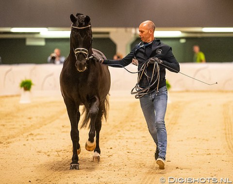 Holland's Hans Peter Minderhoud is the 2016 World Cup Finals' winner. This year he brings his 2018 WEG mount Dream Boy (by Vivaldi x Ferro)