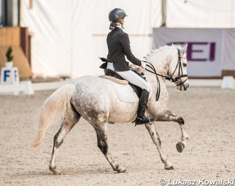 Polish Amber van den Broek on the Danish Langtoftegaard Leandro