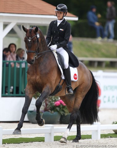Versatile rider Alizee Cernin, who combines show jumping with Grand Prix dressage, aboard Douglas (by Spielberg). In outlook the horse reminds of Weltall VA