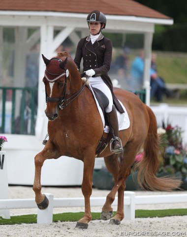 A new French duo: Charlotte Chalvignac on Bernadette Brune's Lights of Londonderry (by Londonderry). Rider and horse have gelled well and there is more room for improvement.