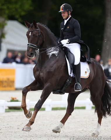 Simon Missiaen's inexperienced GP horse Charlie (by Florencio) was overwhelmed in the Compiegne main stadium by the atmosphere