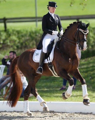 Bernadette Brune warming up Gunner KS (by Belissimo M x Vincent)