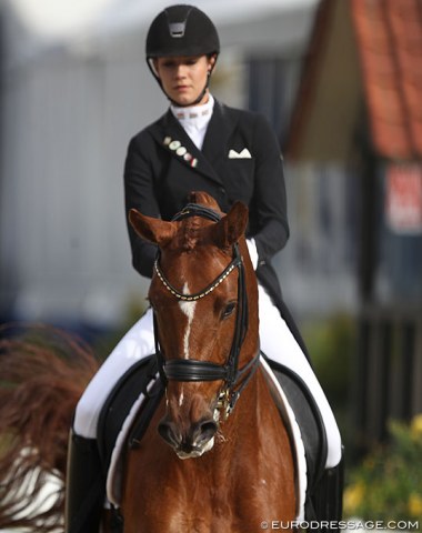 Hungarian Berill Szoke-Toth on Vodka Absolut B (by Vitalis x Royal Diamond)