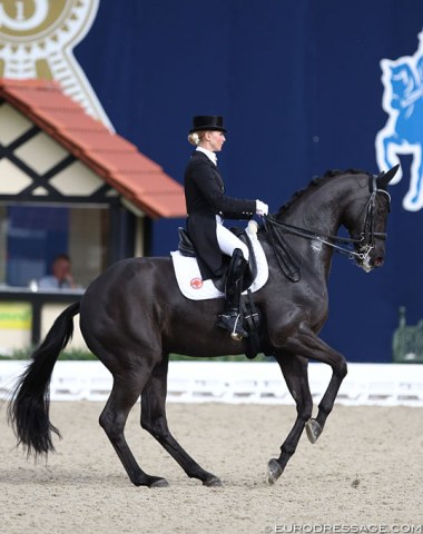 Jessica von Bredow-Werndl on Sir Max (by St Moritz Junior x Del Piero)