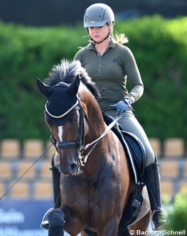 Dorothee Schneider schooling