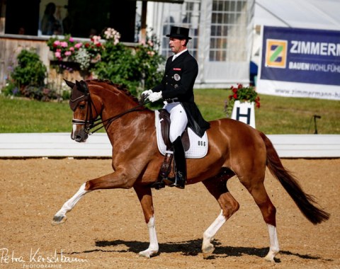 Stefan Lehfellner on Sily Moves (by Starnberg x Furst Heinrich) which Sissy Max-Theurer purchased from Czech rider Hana Vasaryova