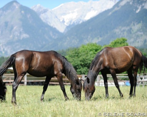 The good life in the Alps