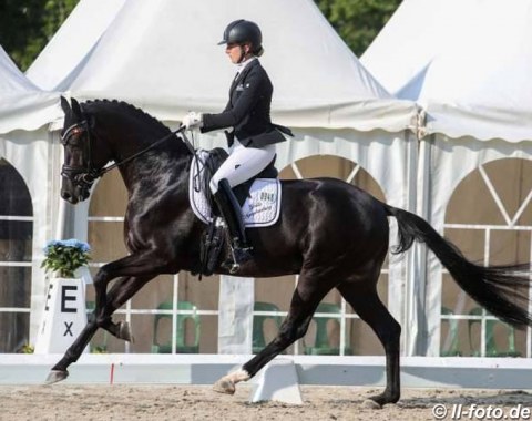 Tessa Frank back on board a Nymphenburg horse, here on Flying (by Furstenball)