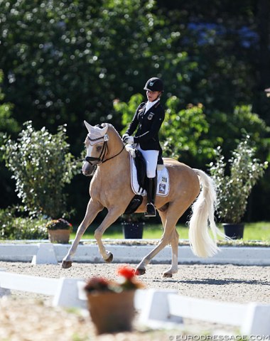 Paulina von Wulffen on Dujardin B, a palomino with a stunning canter