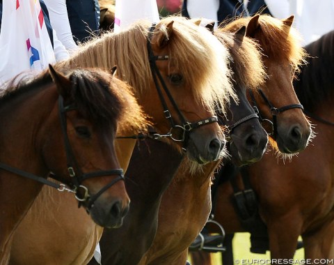 Icelandics in the farewell to nations ceremony on Sunday