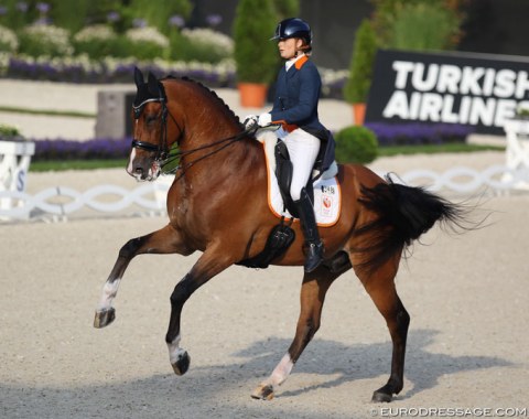 Dutch Anne Meulendijks rode a very strong, accurate test which earned her a top score of 73.761% but Avanti could have been a bit less hand-held today