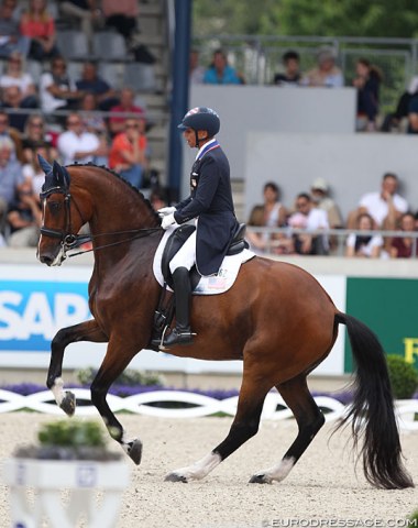 Steffen Peters and Suppenkasper