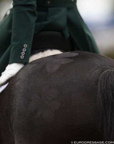 Shamrock quarter marks