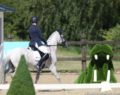 The Leudelange arena is decorated making it look like a safari park with African animal figures in grass. Many ponies and horses were very impressed by this zoo