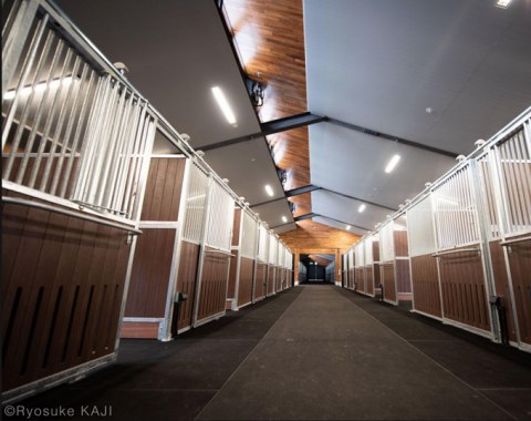 The stables at the JRA equestrian park