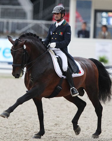 Duarte Nogueira on the Lusitano licensed stallion Beirao (by Rubi AR x Joca)