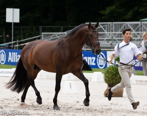 Portuguese team debutants: Joao Torrao and Equador MVL