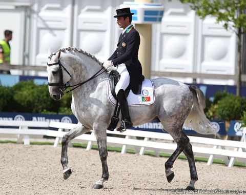 Rodrigo Torres on the Lusitano Fogoso (by Rico x Raja)