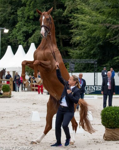 Isabell Werth's Bella Rose is frisky and ready to go for her first European Champion's title in Rotterdam