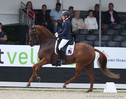 Lucinda Elliott on the well moving Hawtins Lirica (by Lemony's Nicket x Dimaggio). She was strong in the bridle though today