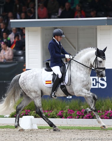 Best moving PRE in Ermelo this year: Solo de Centurion (by Fer Bago x Jordan CEN), under Lucas Marin Giraldez