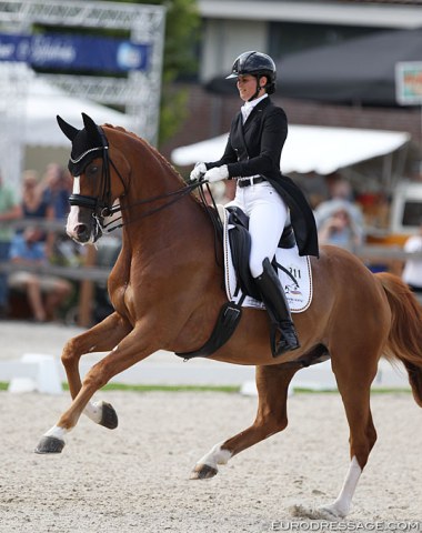 Danish WEG team rider Betina Jaeger on Bonderman (by Belarus x Alabaster). One of the best tests of the day with impeccable riding from Jaeger. The tempi changes were a highlight