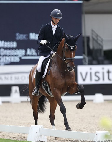 Eric Guardia Martinez on the Portuguese sport horse bred Join Me de Massa (by Everdale x Rieto)