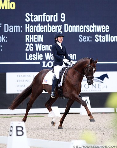 American Emily Miles beautifully presented Leslie Waterman's Rhinelander stallion Sole Mio (by Stanford x Donnerschwee)