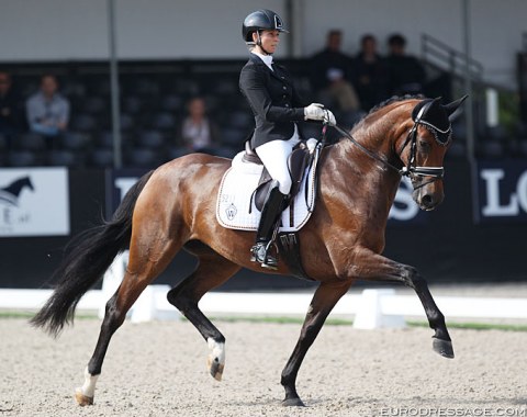 Eva Möller on the very sharp mare Espe (by Escolar x Dimaggio) who picks up her feet like a cat on a hot tin roof. The trot was too hackney to our taste, but the canter is fabulous