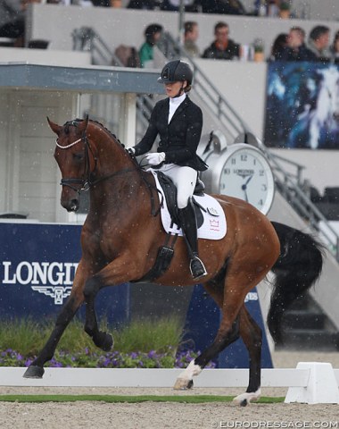 Camilla Ahlers Pedersen on the very smoothly ridden Soegaards Bon Royal (by Bon Bravour x De Noir)