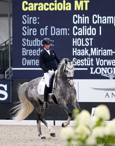 Melanie Tewes on Sissy Max-Theurer's handsome Holsteiner show jumping stallion Caracciola MT (by Chin Champ x Calido)