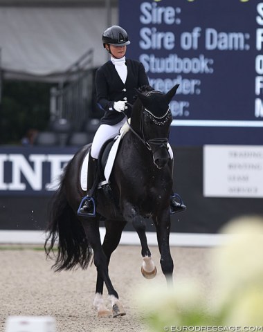 Mandy Zimmer on the talented Symphony MZ (by Sir Donnerhall x Furst Heinrich)