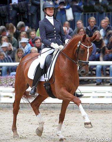 Madeleine Bendfeldt on Henning Mues' Hanoverian mare Dschamilja (by Dancier x Lauries Crusador xx)