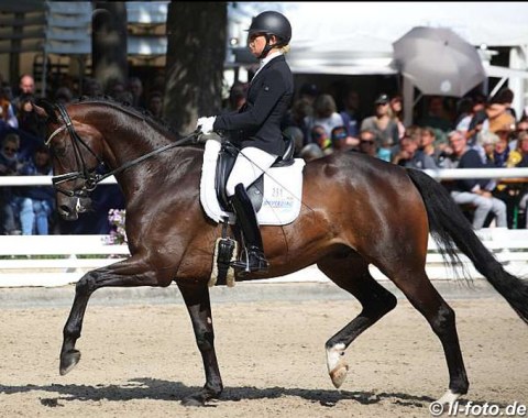 Sandra Kötter on Danubio (by Dante Weltino x Laudabilis)