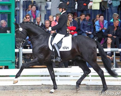 Susan Pape on Leslie Malone's Oldenburg stallion V-Plus (by Vivaldi x Furst Romancier), which Malone's Harmony Sporthorses acquired at the 2018 PSI Auction