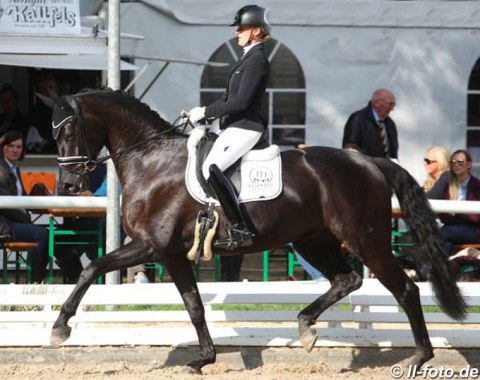 Kira Ripphoff on Sharon Harnik's Westfalian stallion Chuck Bass (by Cennin x Rosentau)