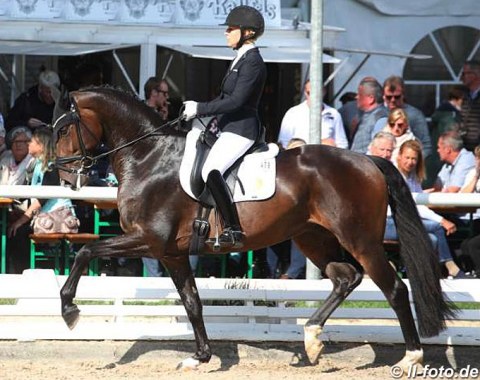 Lena Waldmann on Gestut Bonhomme's Oldenburg gelding Go Twitter (by Grey Flanell x Sandro Song)