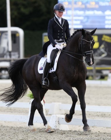 Sarah Gorvett on Ubi B (by Passe Partout x Darwin)